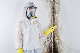 Best Attic Mold Removal  in Germantown, TN